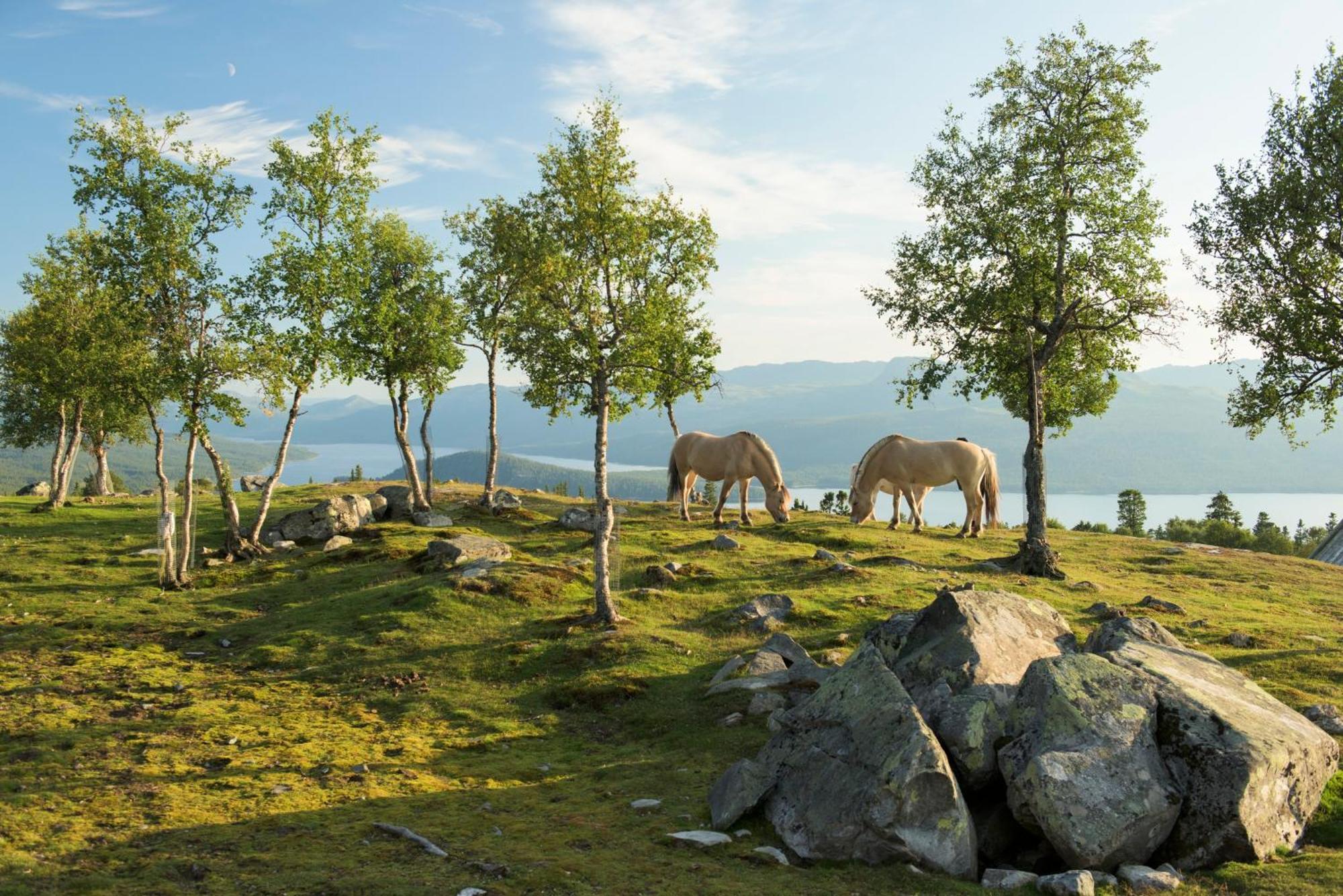 Langedrag Naturpark As Tunhovd Екстериор снимка